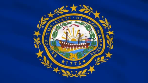 Bandeira New Hampshire Eua Acenando Vento — Vídeo de Stock