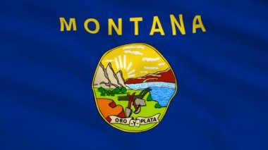 Montana Usa bayrağı rüzgarda dalgalanıyor