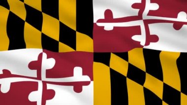 Maryland Usa bayrağı rüzgarda dalgalanıyor