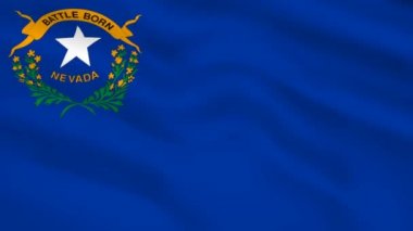 Nevada Usa bayrağı rüzgarda dalgalanıyor