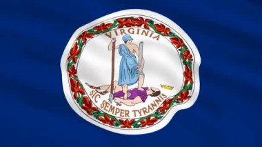 Virginia Usa bayrağı rüzgarda dalgalanıyor