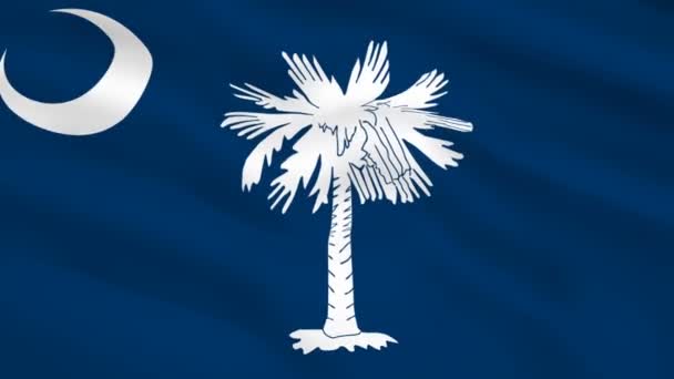 South Carolina Usa Flagge Weht Wind — Stockvideo