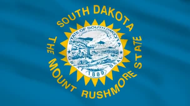 South Dakota Usa Flag Waving Wind — Stock Video