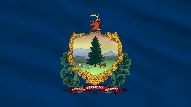 アメリカのバーモント州の旗が風に揺れる — ストック動画
