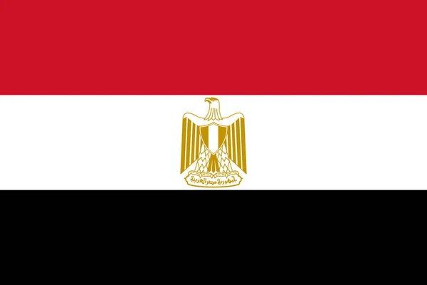 Vlag Van Egypte Vectorillustratie — Stockvector