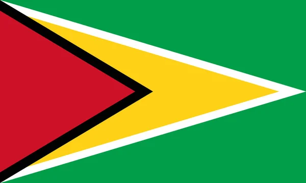 ガイアナの旗ベクトルイラスト — ストックベクタ