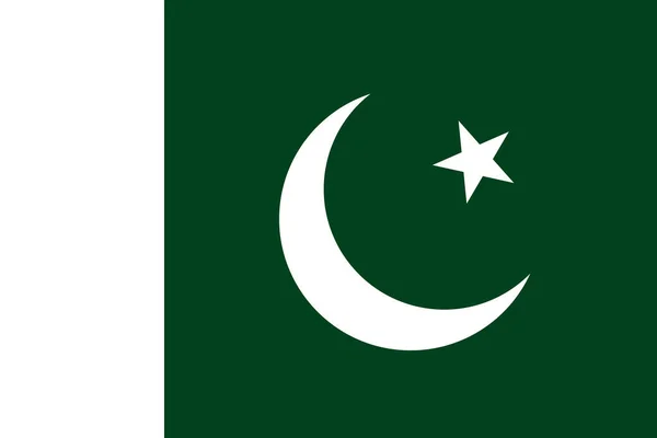 Flagga Pakistan Vektor Illustration — Stock vektor