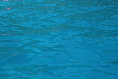 Doku mavi deniz suyu, üstten görünüm