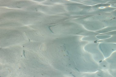 Sandy beach güneş ışığı ve dalgalar bir desen oluşturmak yüzeyinde şeffaf su ile sığ suda. Kumlu alt gölgeler balık yüzen üzerinden net bir bakış. Yumuşak odak.