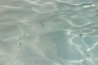 Sandy beach in shallow water with transparent water, on the surface of which sunlight and waves create a pattern. A clear view of the sandy bottom with shadows from floating fish. Soft focus. clipart