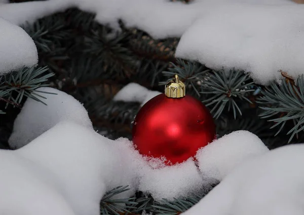 圣诞玩具红色球在蓬松的雪在蓝色云杉的分支 — 图库照片