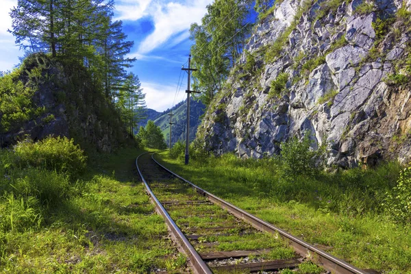 Helle Sommerlandschaft Baikalsee Mit Der Gebirge Vorbeifahrenden Zirkus Baikalbahn Verschwommener — Stockfoto