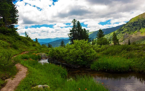 Idyllic Summer Mountain Landscape Creek Stream River Flowers Trail Overgrown — Stock Photo, Image