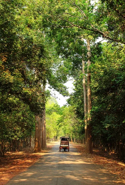Kamboçya orman yolu. Yumuşak arka planını taksi tuk tuk tarafından güneşli gün Angkor Wat Tapınağı karmaşık yaklaşık seyahat.