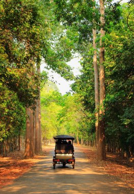 Angkor Wat Tapınağı Kamboçya'da karmaşık seyahatinden yumuşak arka plan asian çekçek taksi üzerinde seyahat