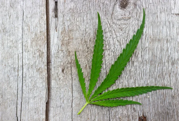Hanf Oder Cannabisblatt Auf Hölzernem Grunge Hintergrund Legalisierung Medizinischen Hanfs — Stockfoto