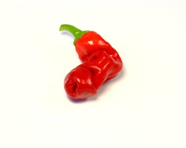 Peter or Penis pepper Capsicum annuum on ligth background clipart