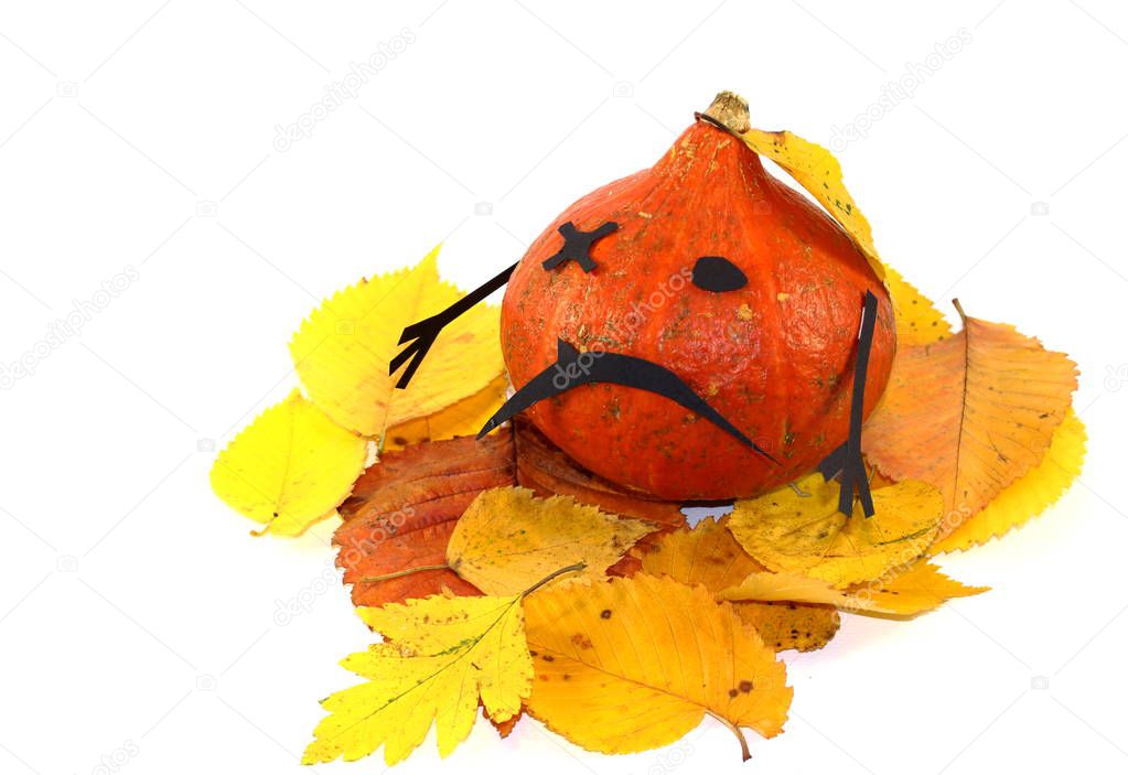 Monster from a small orange pumpkin and black paper on Halloween on background of autumn yellow leaves and a general white background.