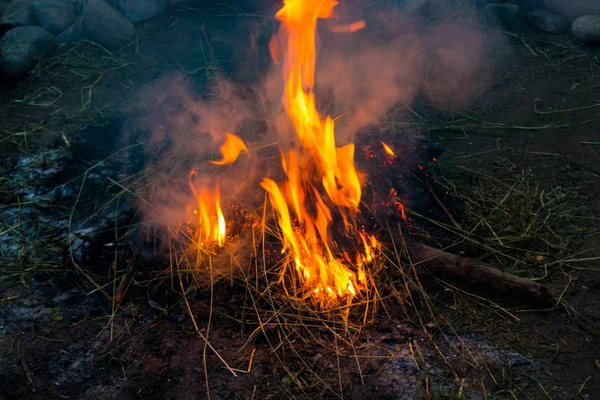 Thick smoke and a bright fire of a burning campfire at dusk. Burning grass in the bonfire.