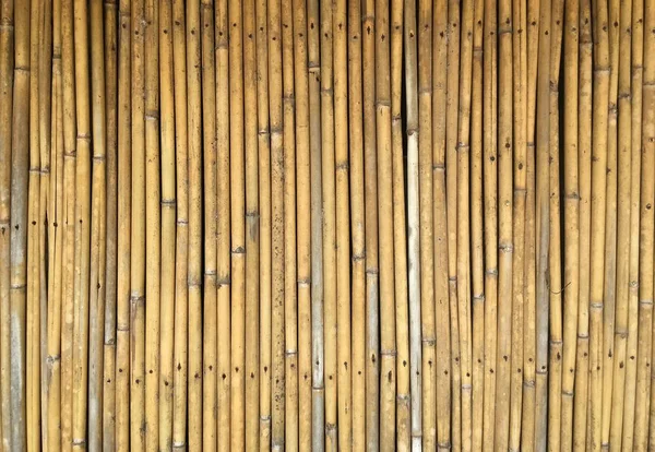 Yellow wooden old bamboo stick wall texture for background