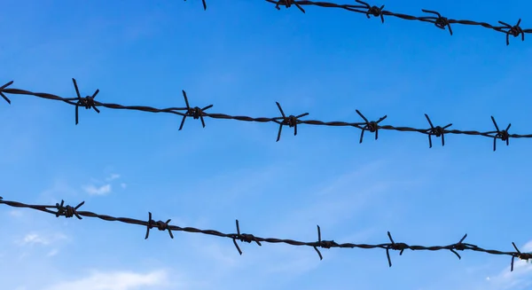 Barbed Wire Bright Blue Sky Background Typically Surrounds Prisons Country — Stock Photo, Image