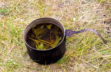 Yaz yürüyüş gezisi bir kamp ateşi üzerinde metal isli eski vahşi siyah frenk üzümü ve otlar yaprakları güzel kokulu şifa kaynatma veya infüzyon veya orman çay potu pişmiş.