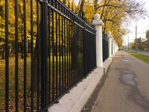 Ozdobne Ogrodzenia Metalowe City Parku Publicznym Jesień Aleja Żółtych Liści — Zdjęcie stockowe