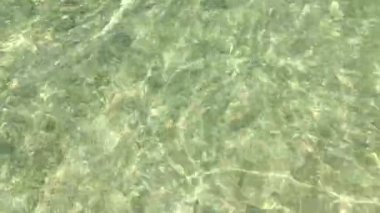 Deniz yüzeyi güneş ışını. Hızlı hareket. Parlak yeşil su yüzeyde güneşli kum plaj. Güzel güneş ışınları dalgalanma dalgalar içinde.