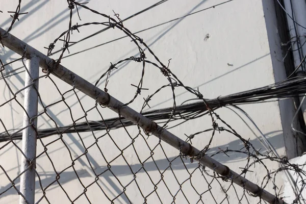 Çit Dikenli Tel Bir Arka Plan Ile Genellikle Hapishane Ülke — Stok fotoğraf
