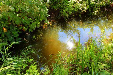 Yaz doğada küçük doğal nehir