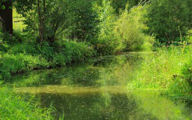 Nehrin yanında sessiz yaz gün