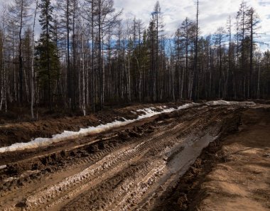 Lastik izleri ve su birikintileri ile kirli ıslak yolda derin rut. Bahar ormanında alacakaranlıkta kirli köy yolunun yakın çekim. Isluk çamurlu kırsal yol. Off-road pist arka planı.