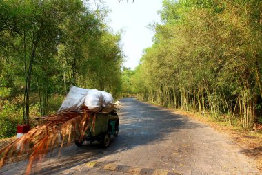 Kentsel sokak temizleyici çöp alır
