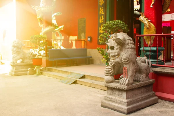 Estatuas de leones guardianes en rayos soleados —  Fotos de Stock