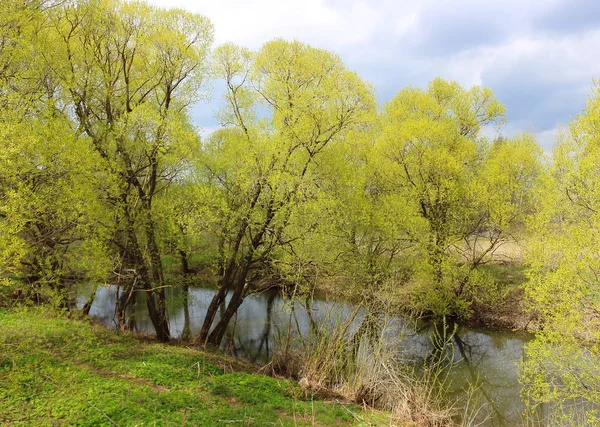 Весна сільської місцевості — стокове фото