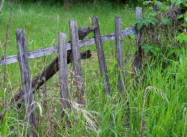 Old wooden fence in the field — Stock Photo, Image