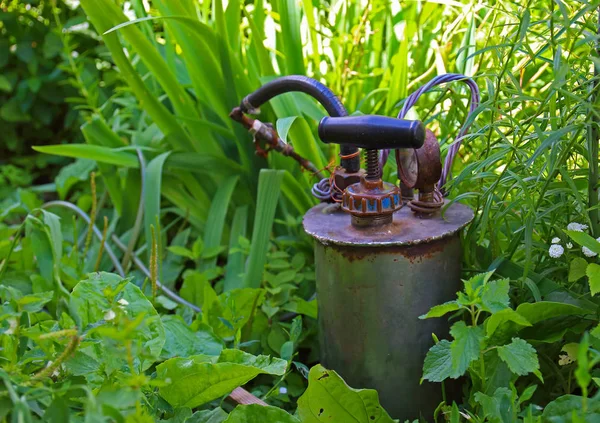 Pesticide sprayer in summer garden — Stock Photo, Image