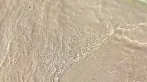 砂浜を洗う泡と海の波 水と地球の自然の要素 高速モーション — ストック動画