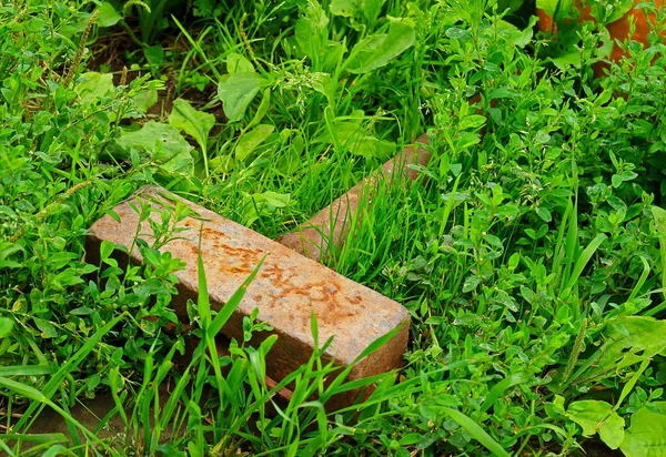 Marteau de fer repose sur l'herbe verte — Photo