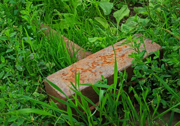 Marteau de traîneau rouillé repose sur l'herbe verte — Photo