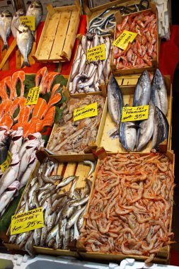 İstanbul, Türkiye - 10 Ekim 2019: Pazarda taze balık ve deniz ürünleri çeşitliliği