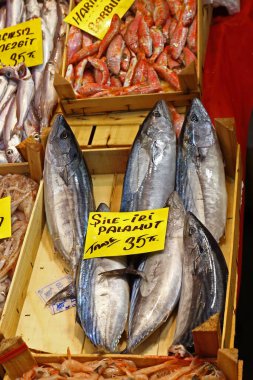 İstanbul, Türkiye - 10 Ekim 2019: Pazarda taze balık satışı