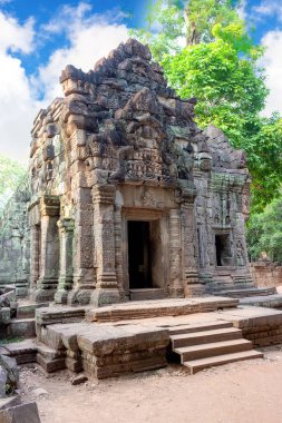 Ta Prohm tapınağı ya da Angkor Wat kompleksindeki mezar yağmacısı, Siem Reap, Kamboçya. Angkor Arkeoloji Parkının Antik Khmer mimarisi. UNESCO Dünya Mirası sitesi. Görünür film tanecikleri