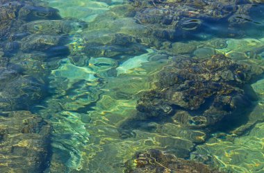 Açık turkuaz su altında kayalık deniz yatağı olan doğal bir zemin.