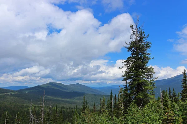 Beautiful Summer View Forest Mountains Mountain Landscape Siberian Taiga Nature — Stock Photo, Image