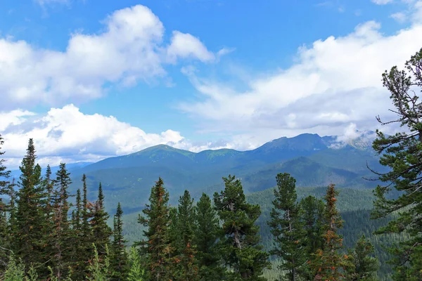 Summer Forest Landscape Sayan Mountains Nature Park Ergaki Russia Siberia — Stock Photo, Image