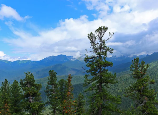 Picturesque Sayan Mountains Summer Landscape Blue Sky Ergaki Mountain Range — Stock Photo, Image