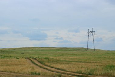 Yüksek voltajlı elektrik hatları bulutlu sabah gökyüzünde çayırda. Elektrik direkleri yeşil bir alandan geçiyor. Sıkıcı karamsar manzara