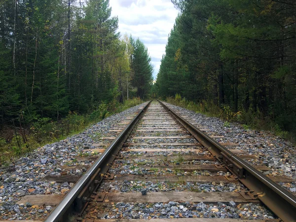 Oude Spoorweg Het Zomerbos Schilderachtig Industrieel Landschap — Stockfoto