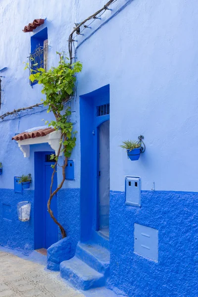 Accogliente Strada Blu Nella Medina Della Città Chefchaouen Marocco Architettura — Foto Stock
